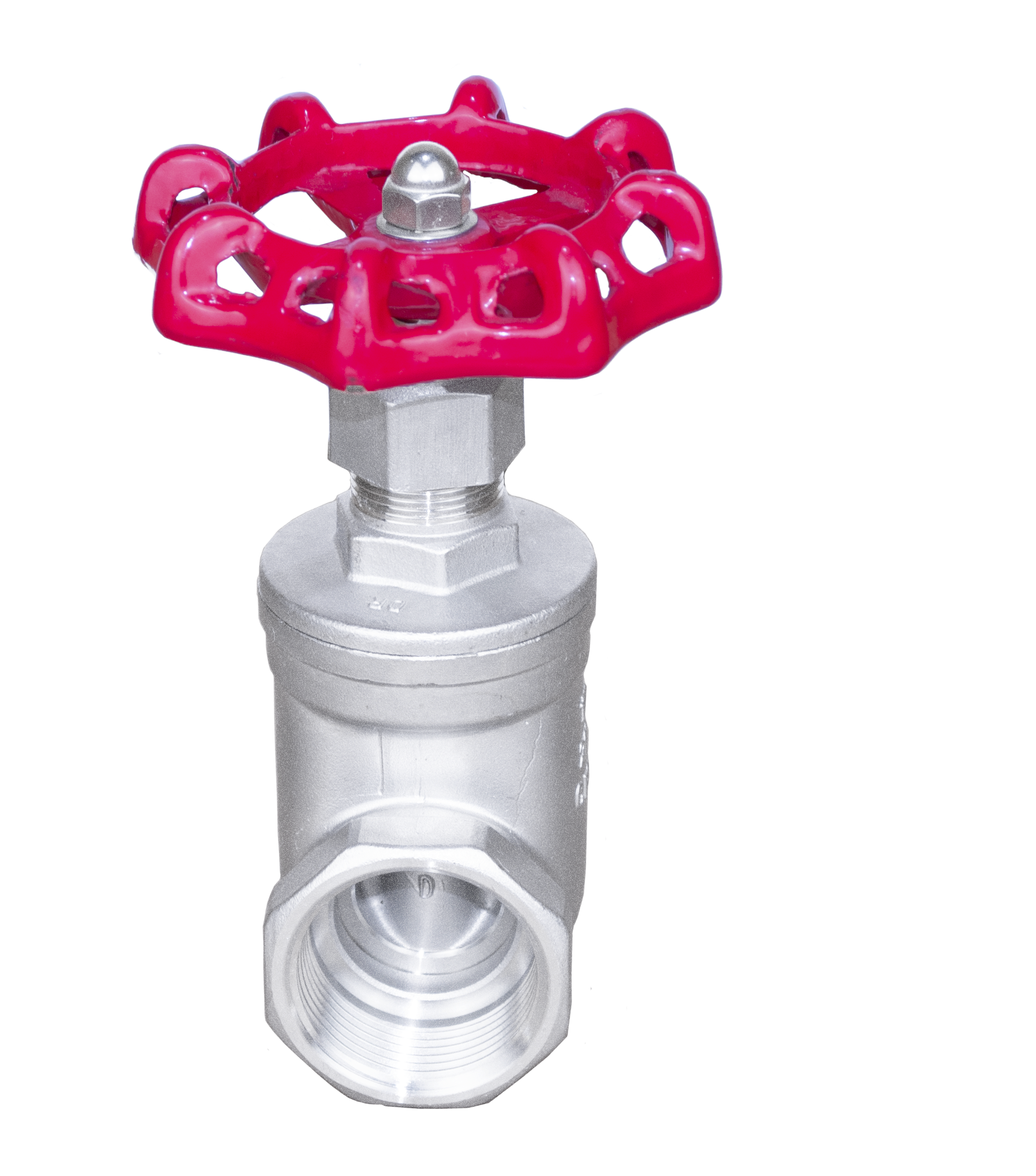 Stainless Steel Threaded Gate Valve - view 5